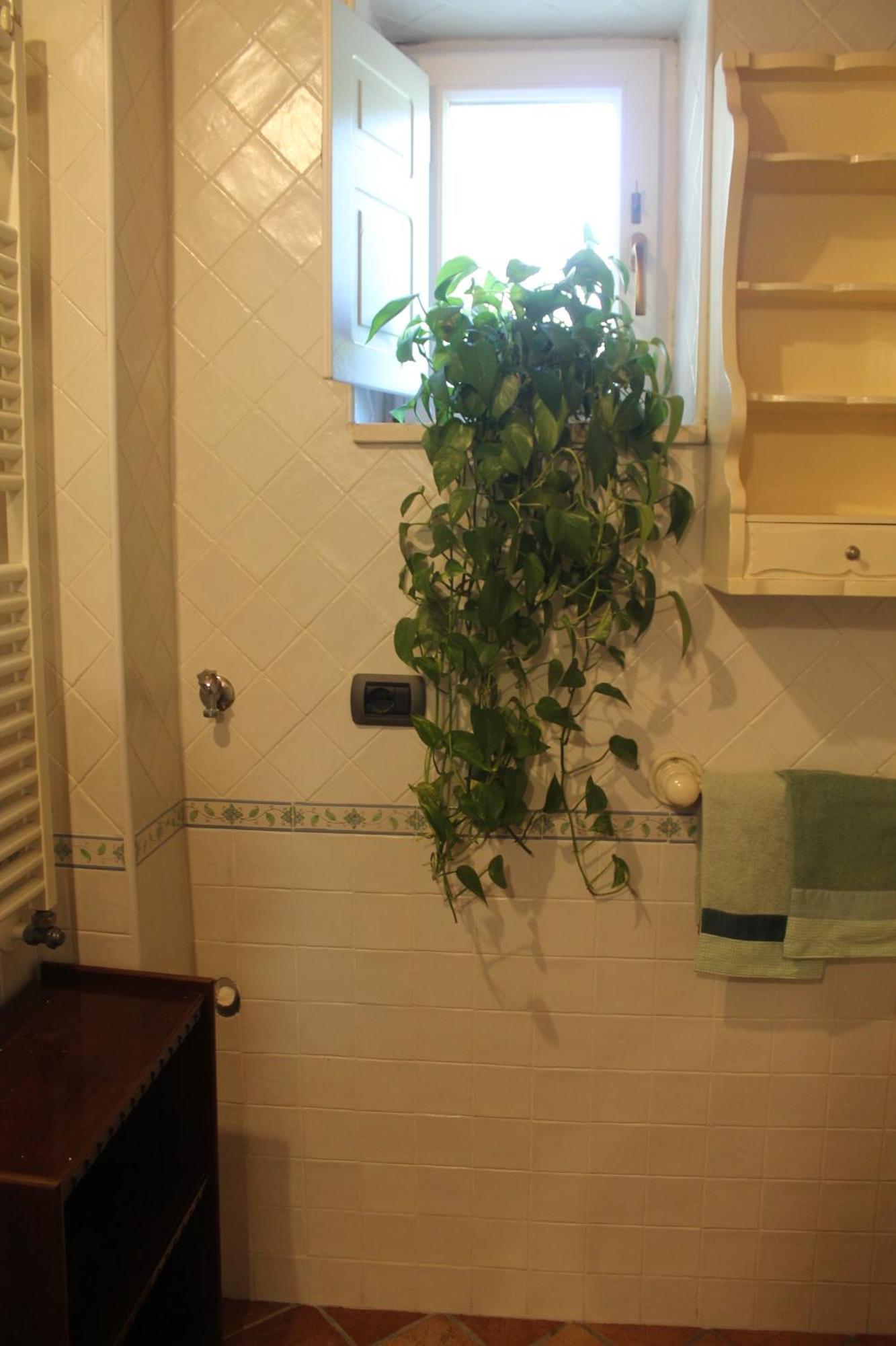 Apartament La Magnolia Locazione Breve Cava deʼ Tirreni Zewnętrze zdjęcie